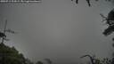 ./images/calvert/fitz-hugh-hecate/20250711/fitz-hugh-hecate20250711_204509M.jpg