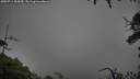 ./images/calvert/fitz-hugh-hecate/20250711/fitz-hugh-hecate20250711_205010M.jpg
