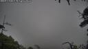 ./images/calvert/fitz-hugh-hecate/20250711/fitz-hugh-hecate20250711_210009M.jpg