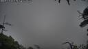 ./images/calvert/fitz-hugh-hecate/20250711/fitz-hugh-hecate20250711_211009M.jpg