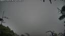 ./images/calvert/fitz-hugh-hecate/20250711/fitz-hugh-hecate20250711_211507M.jpg