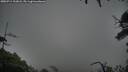./images/calvert/fitz-hugh-hecate/20250711/fitz-hugh-hecate20250711_212008M.jpg