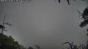 ./images/calvert/fitz-hugh-hecate/20250711/fitz-hugh-hecate20250711_213007M.jpg