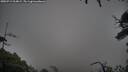./images/calvert/fitz-hugh-hecate/20250711/fitz-hugh-hecate20250711_214008M.jpg