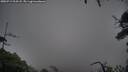 ./images/calvert/fitz-hugh-hecate/20250711/fitz-hugh-hecate20250711_214508M.jpg