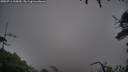 ./images/calvert/fitz-hugh-hecate/20250711/fitz-hugh-hecate20250711_215009M.jpg