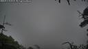 ./images/calvert/fitz-hugh-hecate/20250711/fitz-hugh-hecate20250711_215508M.jpg