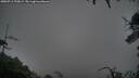 ./images/calvert/fitz-hugh-hecate/20250711/fitz-hugh-hecate20250711_220008M.jpg