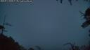 ./images/calvert/fitz-hugh-hecate/20250711/fitz-hugh-hecate20250711_222007M.jpg