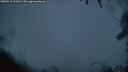 ./images/calvert/fitz-hugh-hecate/20250712/fitz-hugh-hecate20250712_045009M.jpg