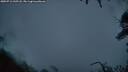 ./images/calvert/fitz-hugh-hecate/20250712/fitz-hugh-hecate20250712_045508M.jpg