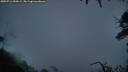 ./images/calvert/fitz-hugh-hecate/20250712/fitz-hugh-hecate20250712_050008M.jpg