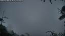 ./images/calvert/fitz-hugh-hecate/20250712/fitz-hugh-hecate20250712_050507M.jpg
