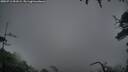 ./images/calvert/fitz-hugh-hecate/20250712/fitz-hugh-hecate20250712_051008M.jpg