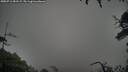 ./images/calvert/fitz-hugh-hecate/20250712/fitz-hugh-hecate20250712_051508M.jpg