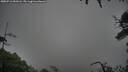 ./images/calvert/fitz-hugh-hecate/20250712/fitz-hugh-hecate20250712_053505M.jpg