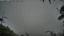 ./images/calvert/fitz-hugh-hecate/20250712/fitz-hugh-hecate20250712_054008M.jpg