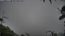 ./images/calvert/fitz-hugh-hecate/20250712/fitz-hugh-hecate20250712_060010M.jpg