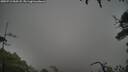 ./images/calvert/fitz-hugh-hecate/20250712/fitz-hugh-hecate20250712_060507M.jpg
