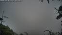 ./images/calvert/fitz-hugh-hecate/20250712/fitz-hugh-hecate20250712_061007M.jpg