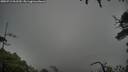 ./images/calvert/fitz-hugh-hecate/20250712/fitz-hugh-hecate20250712_062510M.jpg