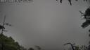 ./images/calvert/fitz-hugh-hecate/20250712/fitz-hugh-hecate20250712_063010M.jpg