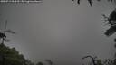 ./images/calvert/fitz-hugh-hecate/20250712/fitz-hugh-hecate20250712_063509M.jpg