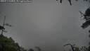 ./images/calvert/fitz-hugh-hecate/20250712/fitz-hugh-hecate20250712_064010M.jpg