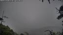 ./images/calvert/fitz-hugh-hecate/20250712/fitz-hugh-hecate20250712_064509M.jpg