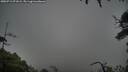 ./images/calvert/fitz-hugh-hecate/20250712/fitz-hugh-hecate20250712_071009M.jpg