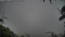 ./images/calvert/fitz-hugh-hecate/20250712/fitz-hugh-hecate20250712_072010M.jpg
