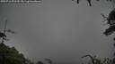 ./images/calvert/fitz-hugh-hecate/20250712/fitz-hugh-hecate20250712_072509M.jpg