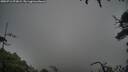 ./images/calvert/fitz-hugh-hecate/20250712/fitz-hugh-hecate20250712_073008M.jpg