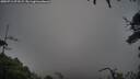 ./images/calvert/fitz-hugh-hecate/20250712/fitz-hugh-hecate20250712_073509M.jpg