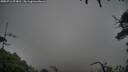 ./images/calvert/fitz-hugh-hecate/20250712/fitz-hugh-hecate20250712_074010M.jpg