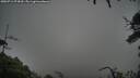./images/calvert/fitz-hugh-hecate/20250712/fitz-hugh-hecate20250712_074510M.jpg