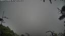 ./images/calvert/fitz-hugh-hecate/20250712/fitz-hugh-hecate20250712_075009M.jpg