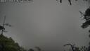 ./images/calvert/fitz-hugh-hecate/20250712/fitz-hugh-hecate20250712_075508M.jpg
