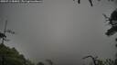 ./images/calvert/fitz-hugh-hecate/20250712/fitz-hugh-hecate20250712_080011M.jpg