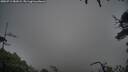 ./images/calvert/fitz-hugh-hecate/20250712/fitz-hugh-hecate20250712_081008M.jpg