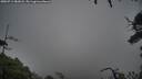 ./images/calvert/fitz-hugh-hecate/20250712/fitz-hugh-hecate20250712_082007M.jpg