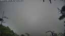 ./images/calvert/fitz-hugh-hecate/20250712/fitz-hugh-hecate20250712_082509M.jpg