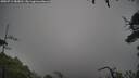 ./images/calvert/fitz-hugh-hecate/20250712/fitz-hugh-hecate20250712_083011M.jpg