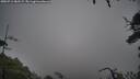./images/calvert/fitz-hugh-hecate/20250712/fitz-hugh-hecate20250712_083509M.jpg