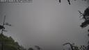 ./images/calvert/fitz-hugh-hecate/20250712/fitz-hugh-hecate20250712_084008M.jpg