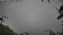 ./images/calvert/fitz-hugh-hecate/20250712/fitz-hugh-hecate20250712_084510M.jpg