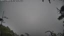 ./images/calvert/fitz-hugh-hecate/20250712/fitz-hugh-hecate20250712_085010M.jpg