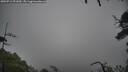 ./images/calvert/fitz-hugh-hecate/20250712/fitz-hugh-hecate20250712_091010M.jpg