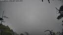./images/calvert/fitz-hugh-hecate/20250712/fitz-hugh-hecate20250712_093011M.jpg