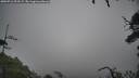 ./images/calvert/fitz-hugh-hecate/20250712/fitz-hugh-hecate20250712_093509M.jpg